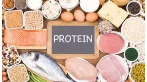 Protein Intake Protein Intake