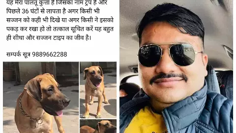 गोरखपुर से गायब हो गए ट्रंप, 36 घंटे से लापता, पार्षद ने फेसबुक पर लिखा ‘ट्रंप’ सीधा और सज्जन टाइप का...