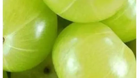 Amla Benefits