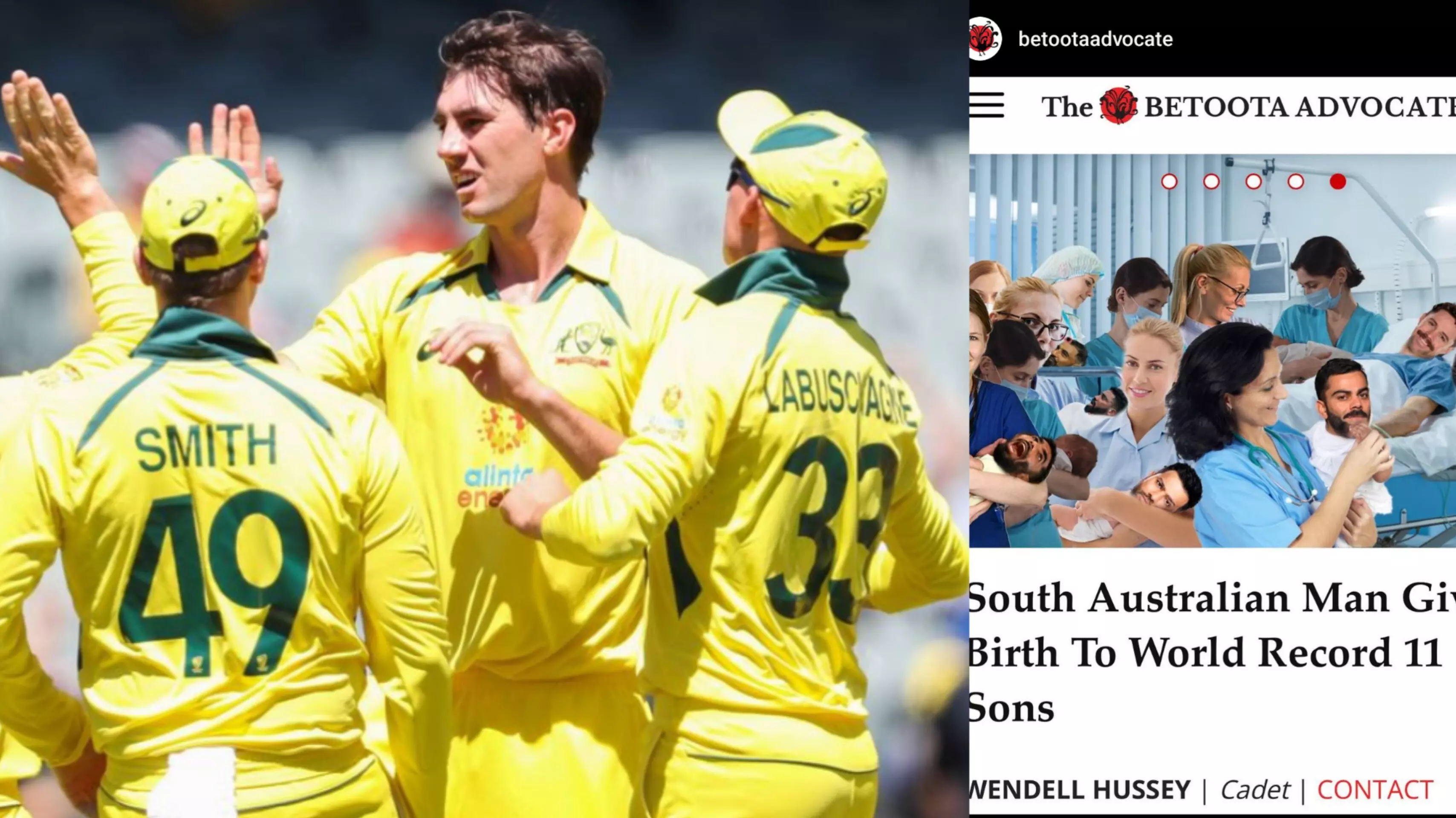 Australian Players Like Derogatory Post: (Pic Credit-Social Media)
