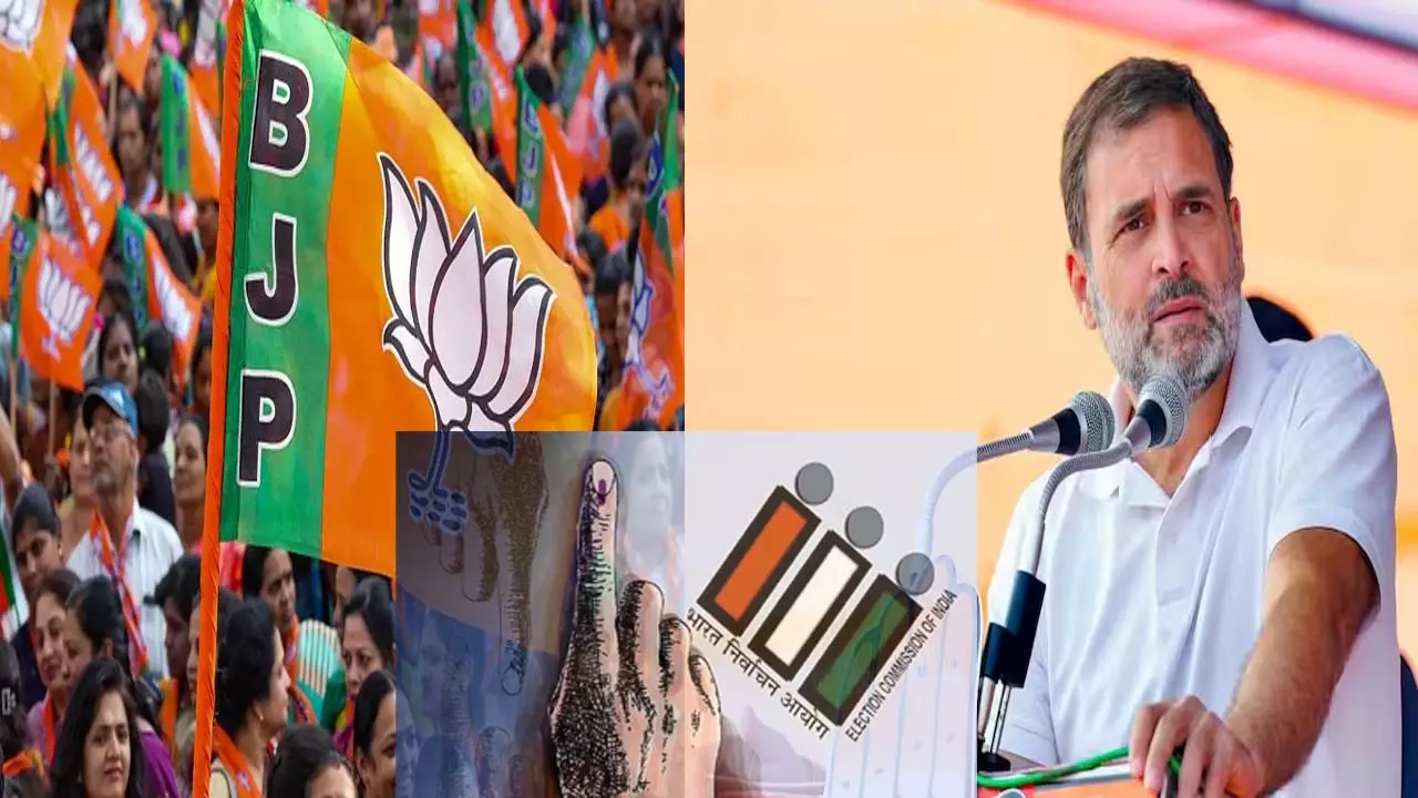 Take action against Rahul Gandhi, BJPs demand from Election Commission
