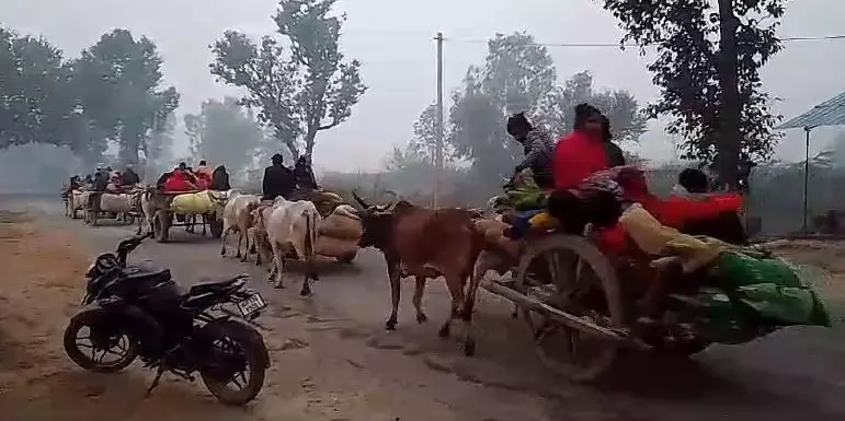 Raebareli News: रायबरेली में बैलगाड़ी से गंगा स्नान को निकले श्रद्धालु ,ट्रैक्टर-ट्रॉली, पिकअप समते इन वाहनों पर है रोक 1 1628147 capture