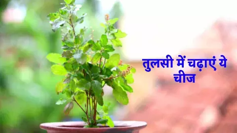 Vastu Tips