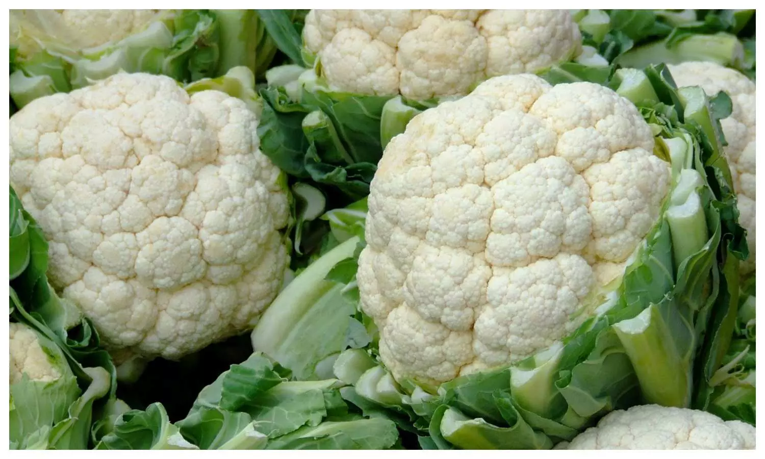 Cauliflower benefits