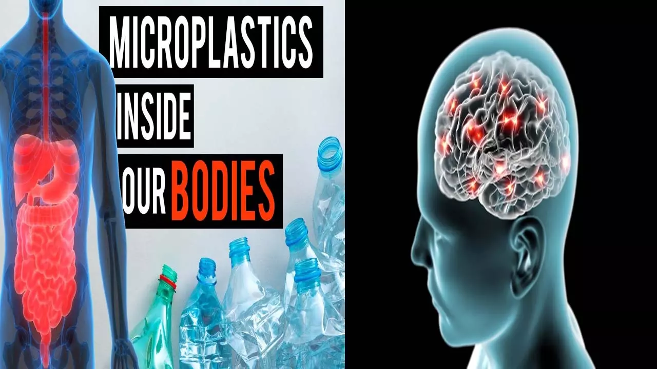 Attention Plastic has penetrated even into the brain