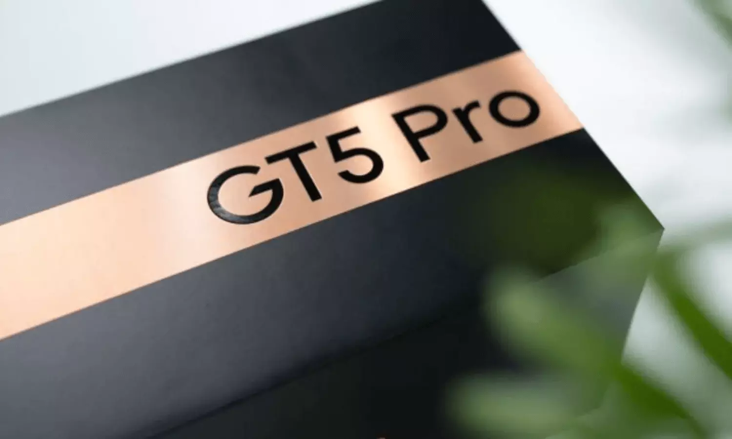 Realme GT 5 Pro: रियलमी जीटी 5 प्रो का रेड रॉक कलर वेरिएंट जल्द होगा लॉन्च, जाने कितनी होगी कीमत