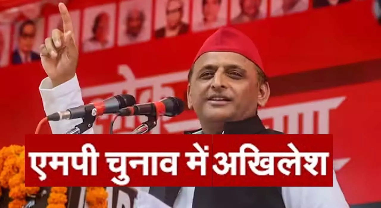 In Madhya Pradesh assembly elections, Samajwadi Party did not even come second on any seat, Akhileshs campaign did not get any benefit