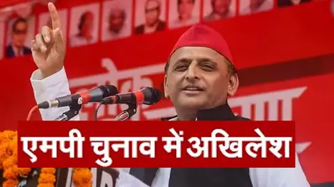 In Madhya Pradesh assembly elections, Samajwadi Party did not even come second on any seat, Akhileshs campaign did not get any benefit In Madhya Pradesh assembly elections, Samajwadi Party did not even come second on any seat, Akhileshs campaign did not get any benefit