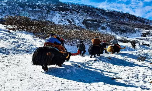 Winter Destinations