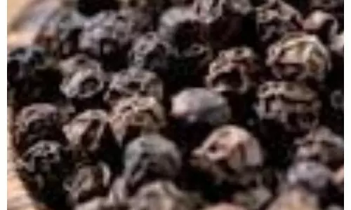 Black Pepper Benefits in Winte