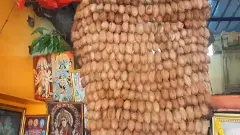 ambe vali maa indore