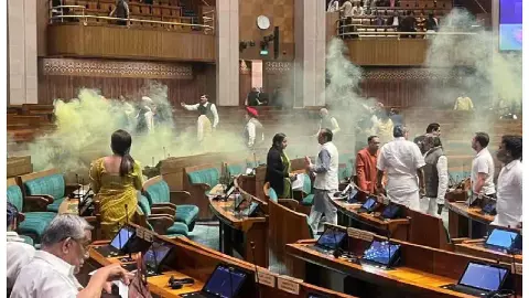 Parliament Security Breach