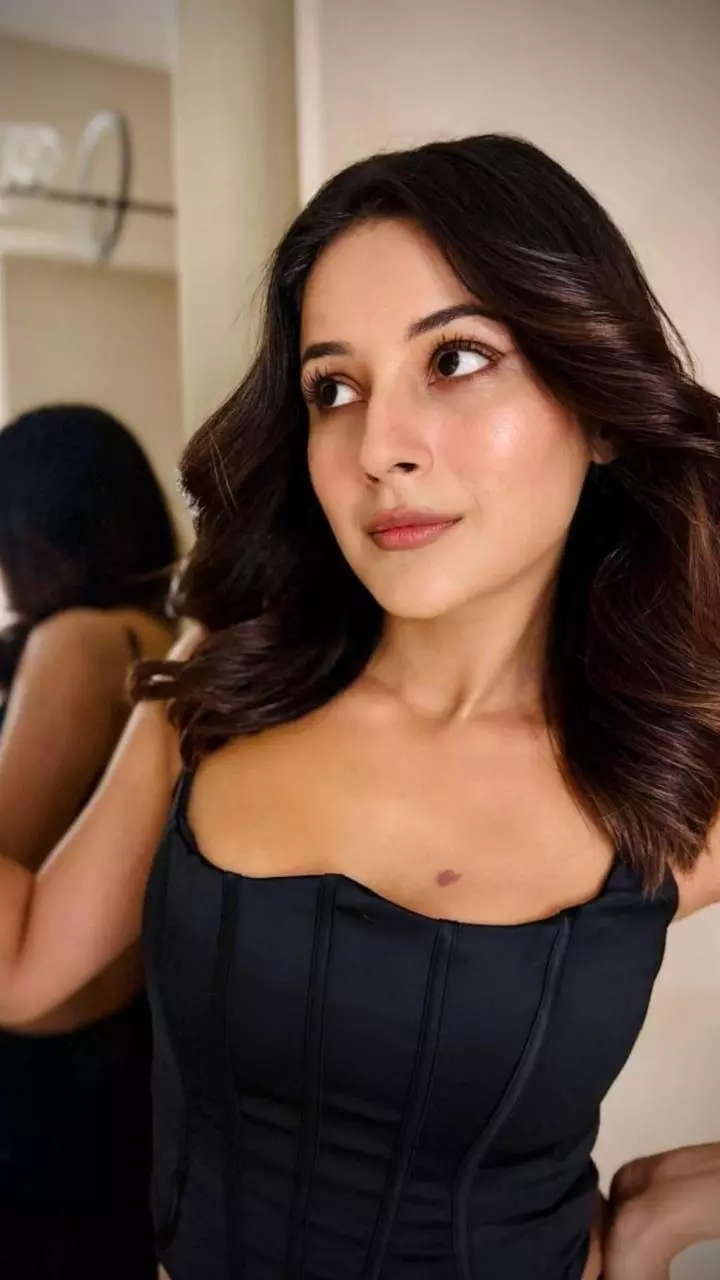 ऑल ब्लैक आउटफिट में शहनाज गिल ने गिराई हुस्न की बिजलियां