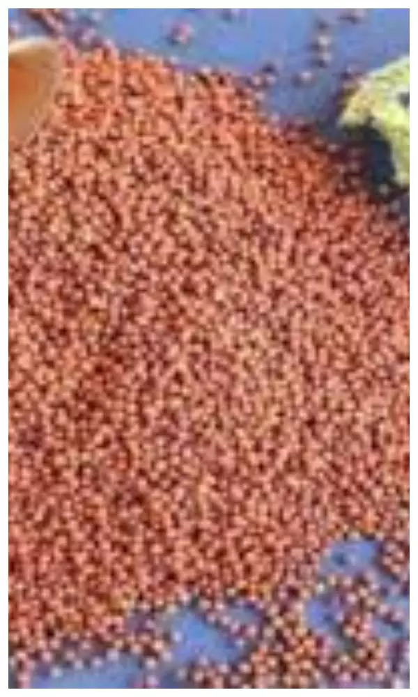 Ragi For Weight Loss