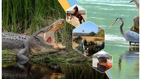 Chambal Wildlife Sanctuary