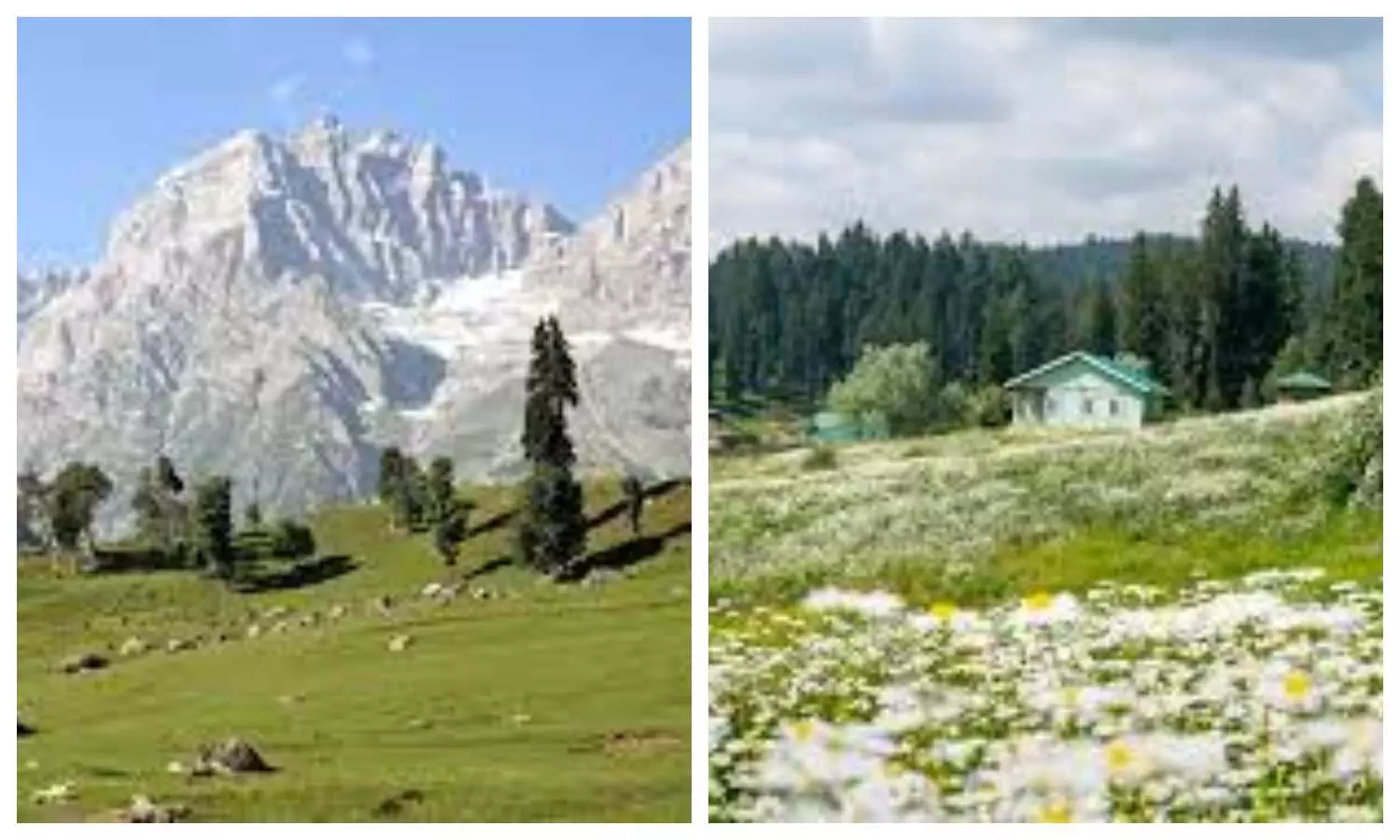 Yusmarg Valley in Kashmir:7,000 फीट ऊंचाई पर बसी यह घाटी प्रकृति प्रेमियों के लिए है एक स्वर्ग