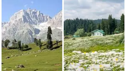 Yusmarg Valley in Kashmir:7,000 फीट ऊंचाई पर बसी यह घाटी प्रकृति प्रेमियों के लिए है एक स्वर्ग