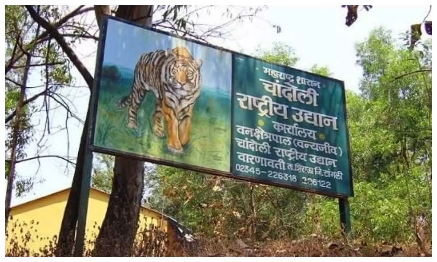 Chandoli National Park