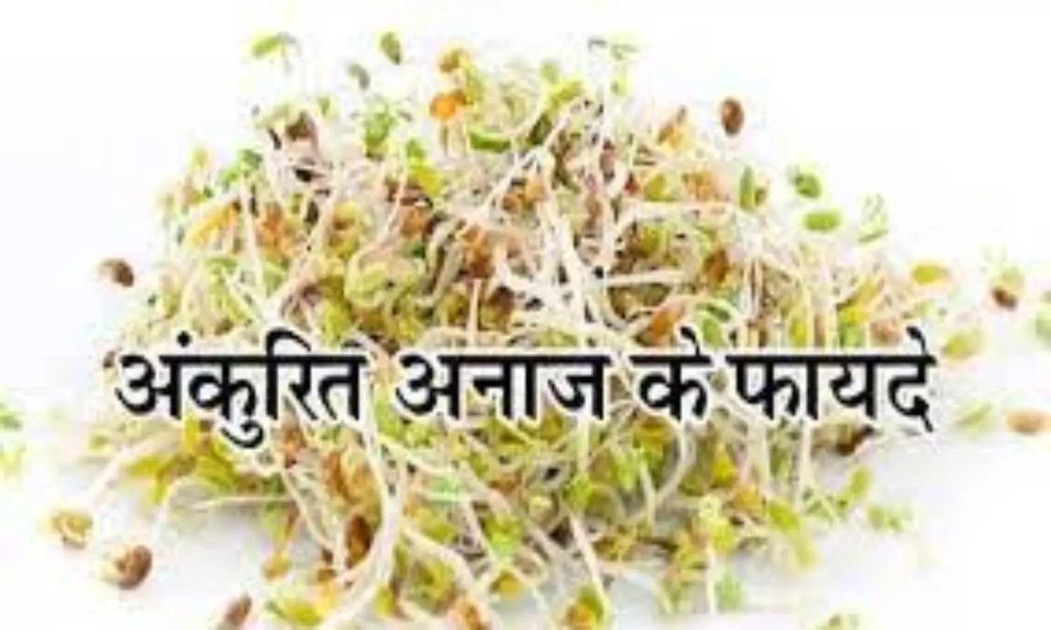 Benefits of Sprouts In Winter