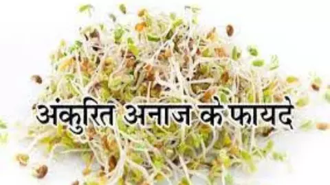 Benefits of Sprouts In Winter