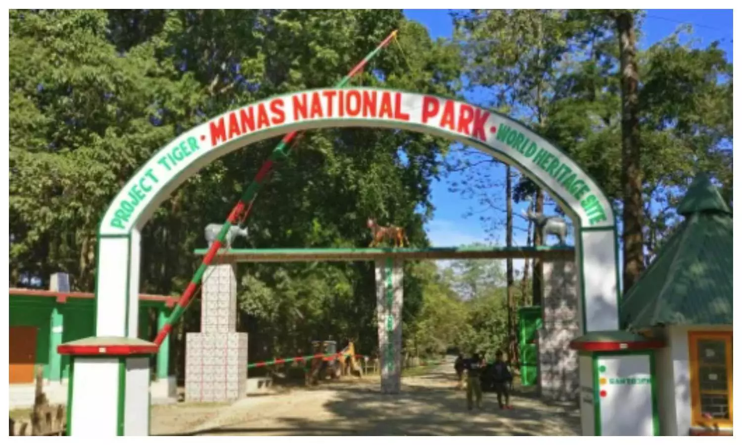 Manas National Park Assam