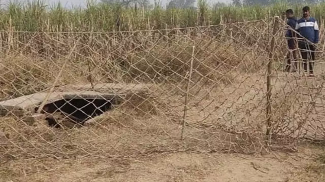 Leopard fell into the well, Forest Department team started rescue operation