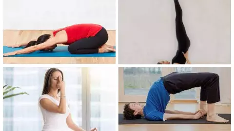 Yoga for Sinuses