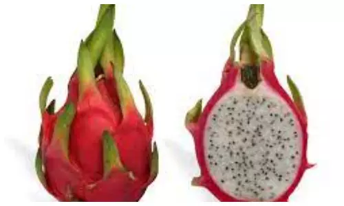 Dragon Fruit Benefits