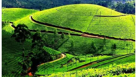 Darjeeling in West Bengal Darjeeling in West Bengal