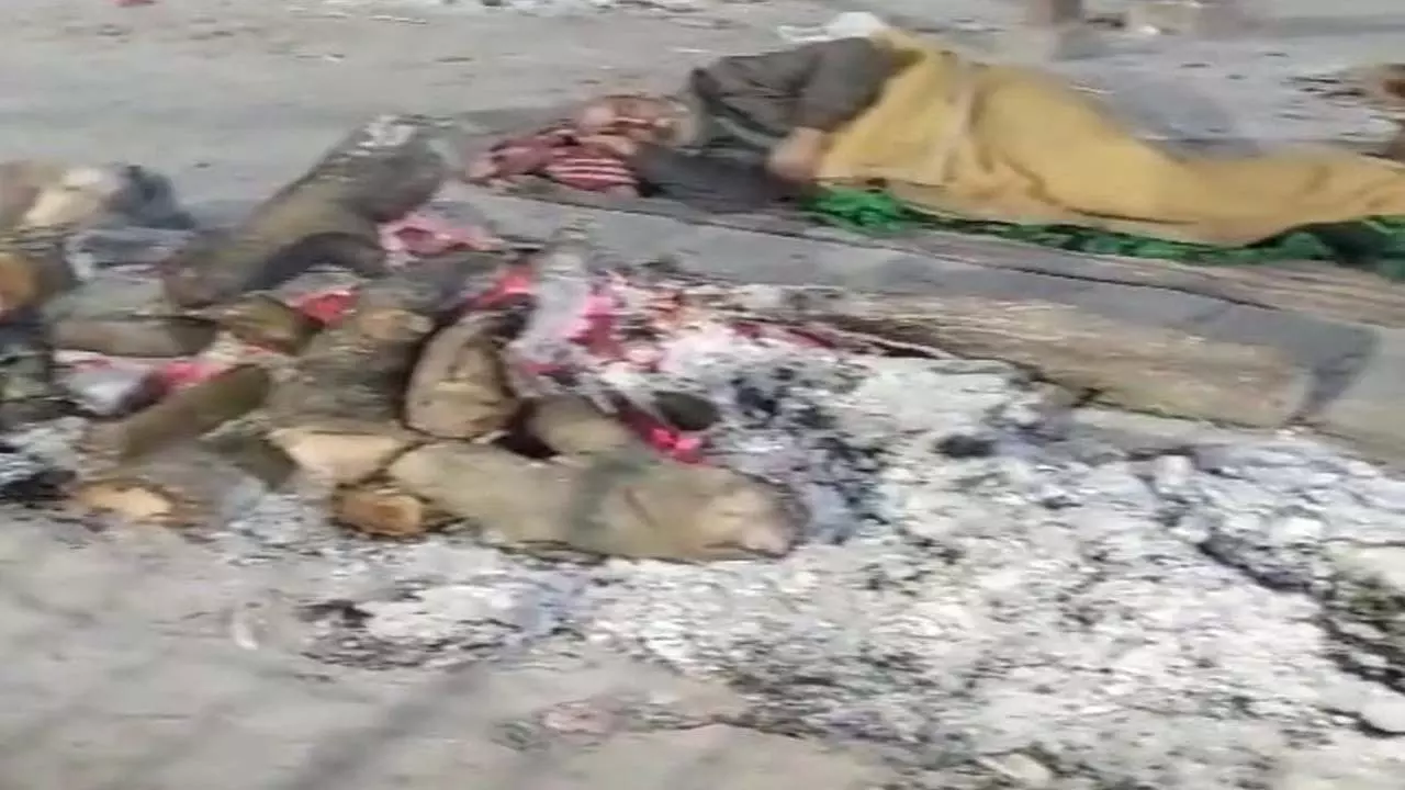Cold in Uttar Pradesh, old man lay down near burning pyre