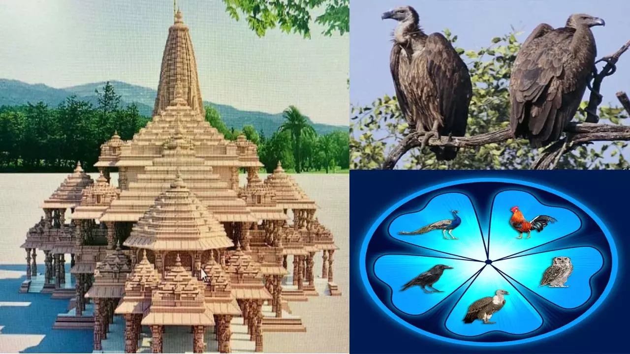 Special on the presence of vulture bird around Shri Ayodhya ji, importance of Panch bird in Vedic astrology and auspicious fruitful situation