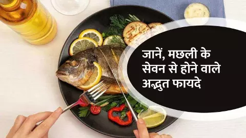 Benefits of Fish In Winters Benefits of Fish In Winters
