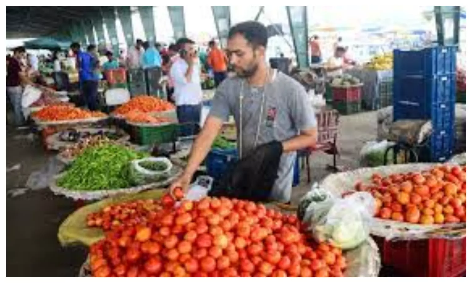 Decline in Vegetable Prices