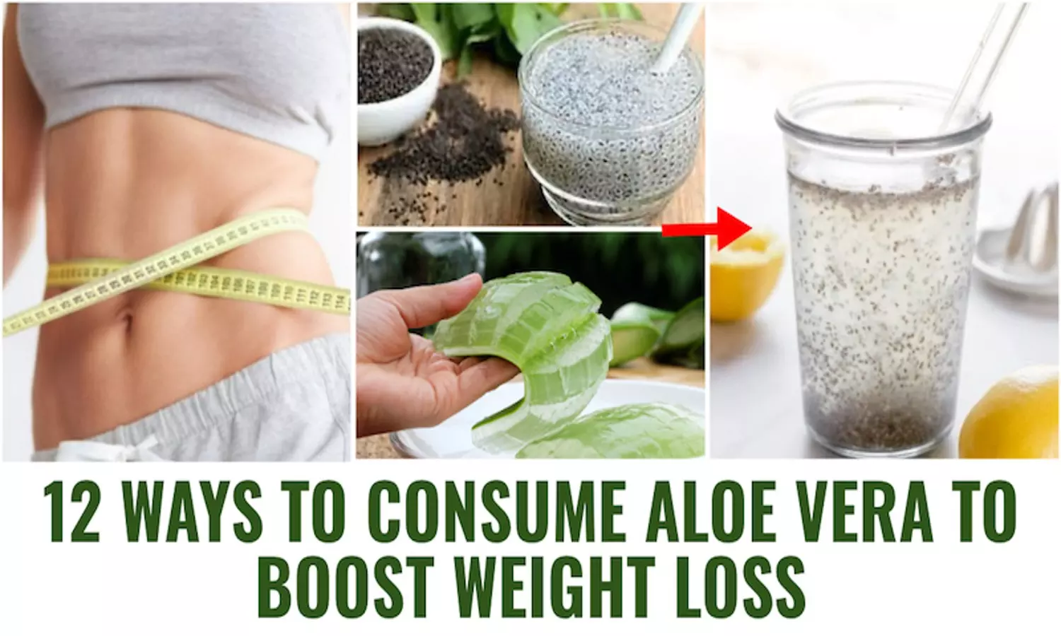 Aloevera Plants For Weight Loss Belly Fat