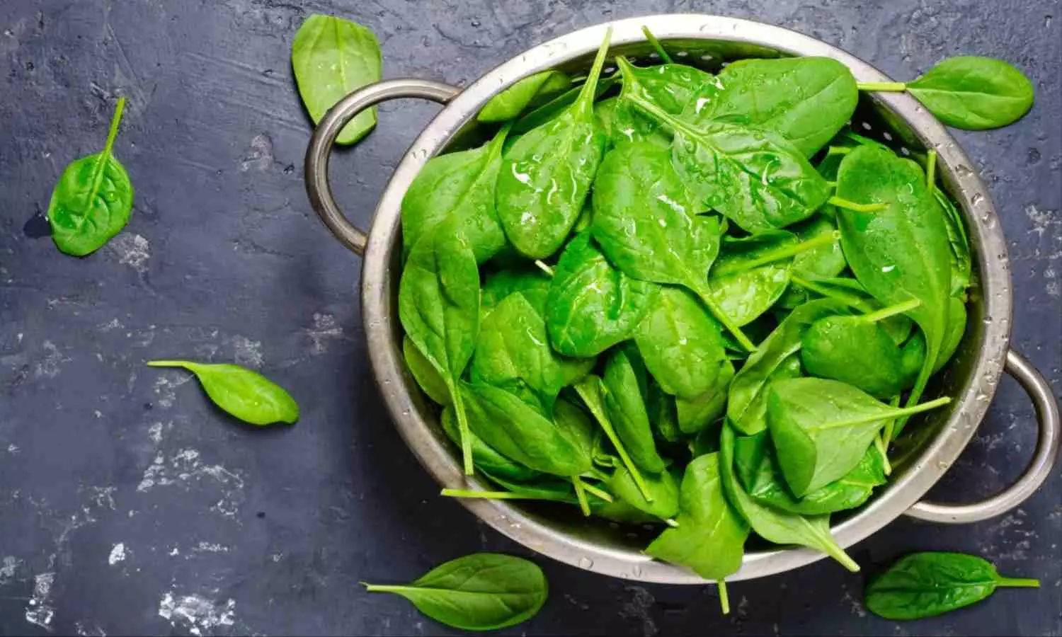 Spinach Benefits In Winter: सर्दियों में पालक खाने के हैं जबरदस्त फायदे, कई बीमारियों को करता है दूर
