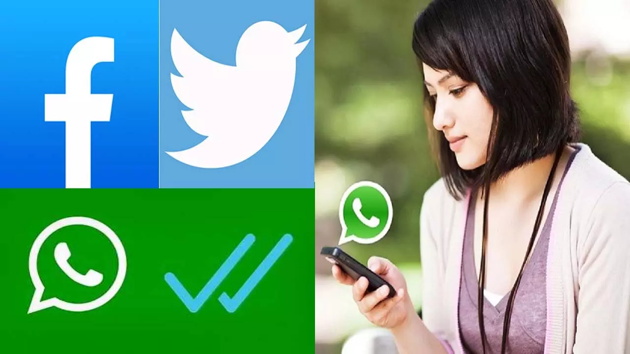 Now good news for WhatsApp users, like Twitter and Facebook, blue tick will be available on this platform too, know details