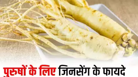 Ginseng Benefits For Men