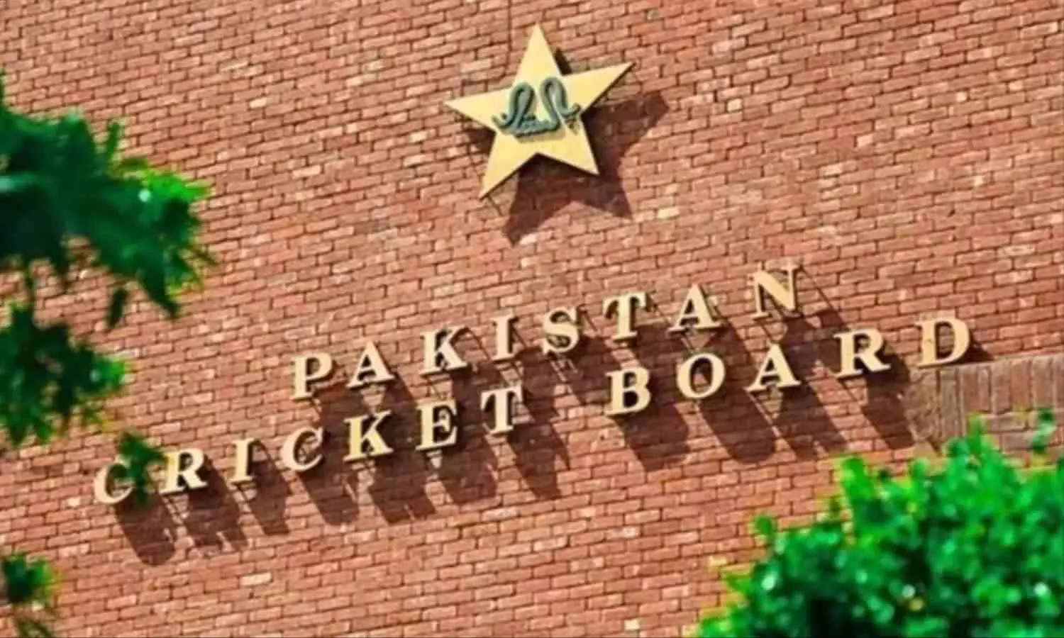 पाकिस्तान क्रिकेट बोर्ड की बढ़ी परेशानी, पैसे और विदेशी लीग में खेलने को लेकर PCB से भिड़े खिलाड़ी