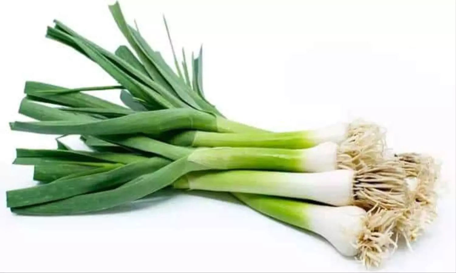 Garlic Leaves Benefits: कई बीमारियों का रामबाण इलाज है लहसुन का पत्ता, जानें इसके अनगिनत फायदें