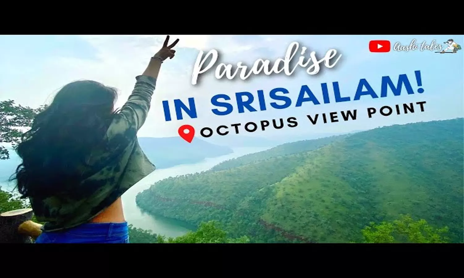 OCTOPUS VIEW POINT