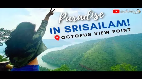 OCTOPUS VIEW POINT