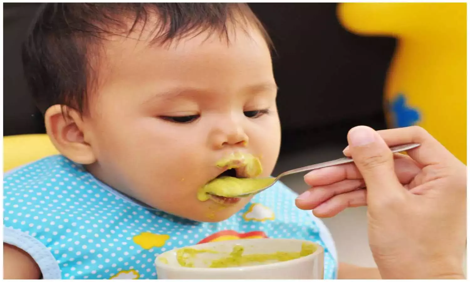 Baby Food Tips
