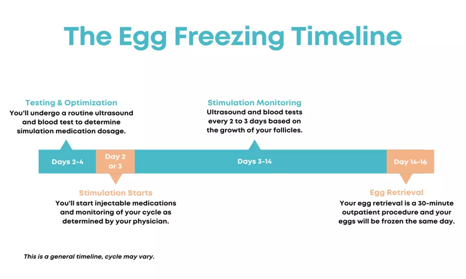 Egg Freezing