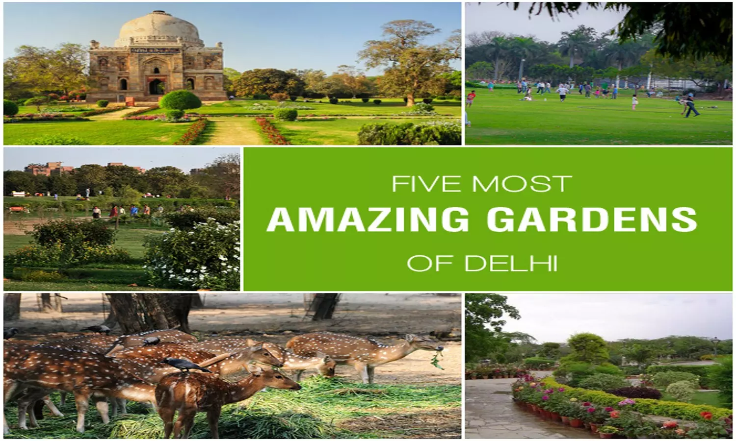 Famous Parks in Delhi