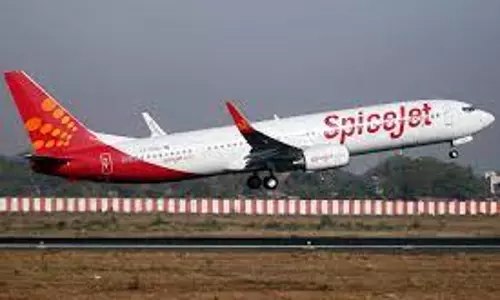 Molestation in Flight