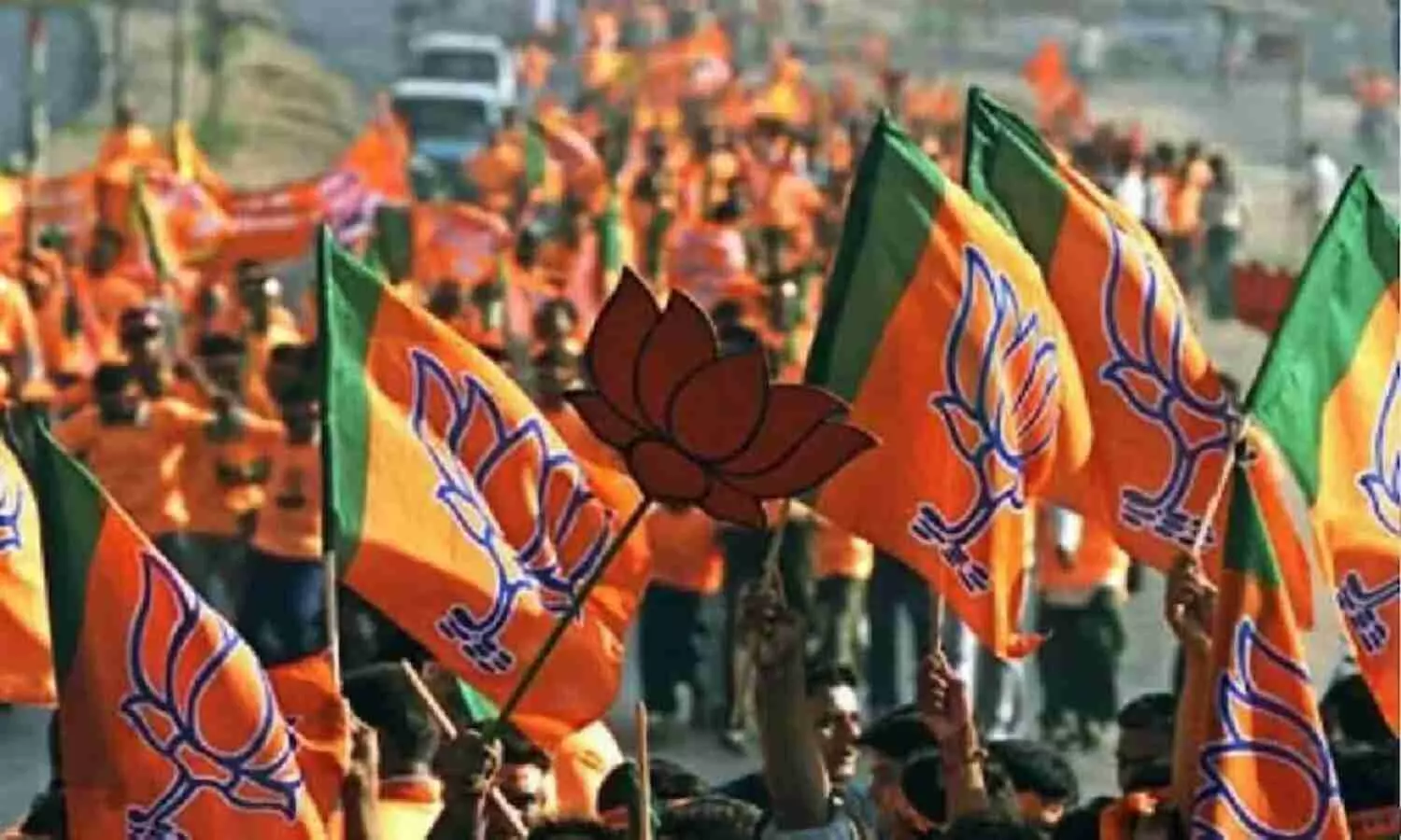 BJP lok sabha election 2024