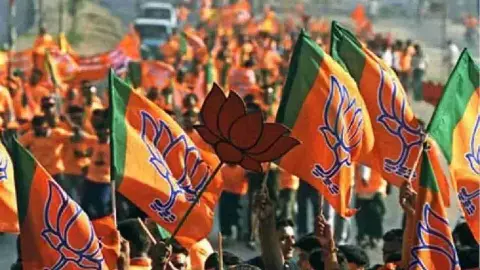 BJP lok sabha election 2024