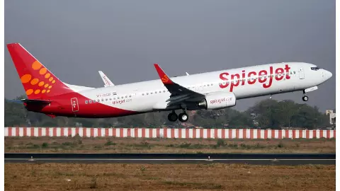 Spicejet News