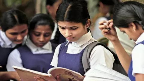 I am looking for possibilities for my education