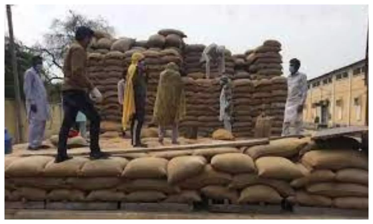 Wheat Purchase in UP